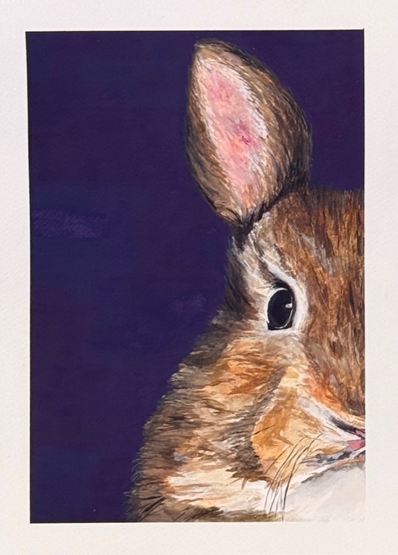 Coneja
